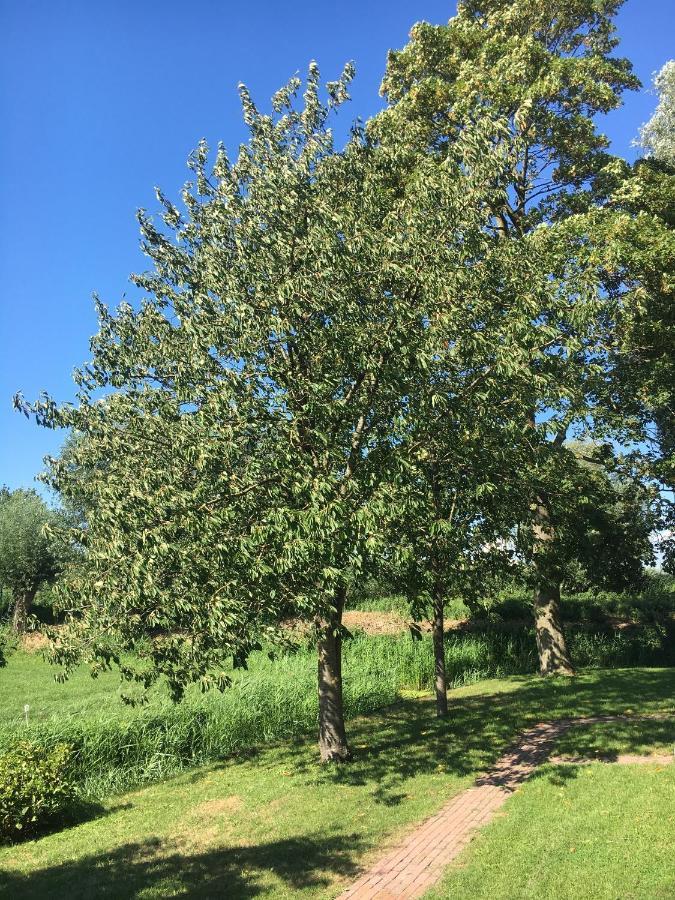 Landelijk Appartement In Een Mooi Recreatiegebied Abcoude Esterno foto